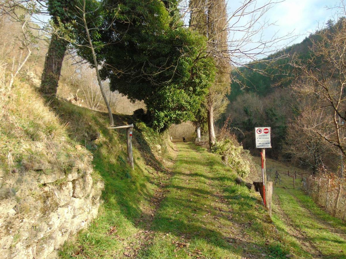 מלון סנספולקרו San Martino Vald'Afra מראה חיצוני תמונה